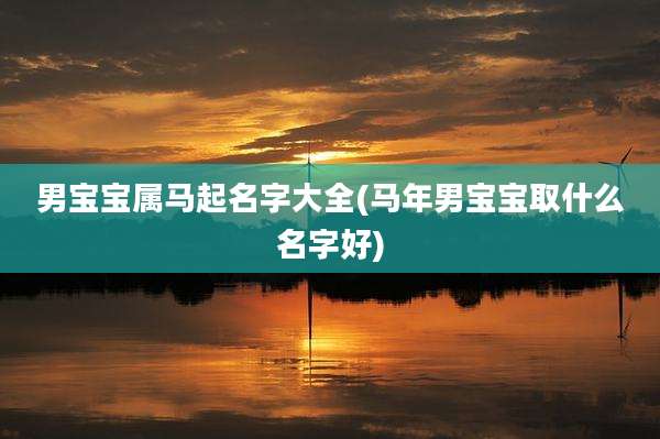男宝宝属马起名字大全(马年男宝宝取什么名字好)