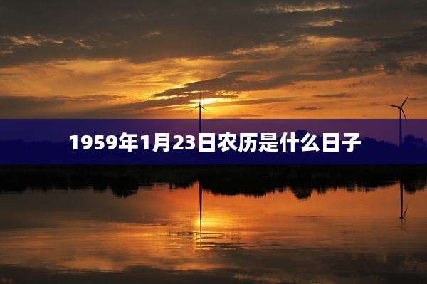 1959年1月23日农历是什么日子