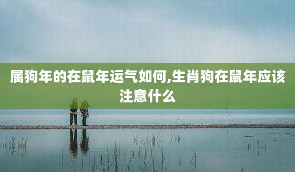 属狗年的在鼠年运气如何,生肖狗在鼠年应该注意什么
