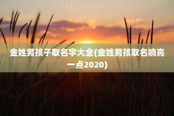 金姓男孩子取名字大全(金姓男孩取名响亮一点2020)