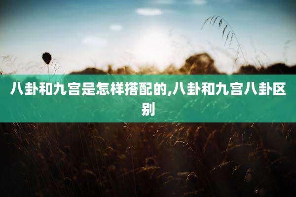 八卦和九宫是怎样搭配的,八卦和九宫八卦区别