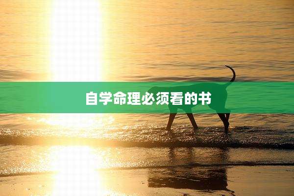 自学命理必须看的书