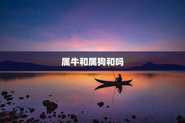 属牛和属狗和吗