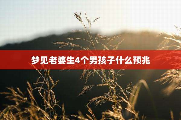 梦见老婆生4个男孩子什么预兆