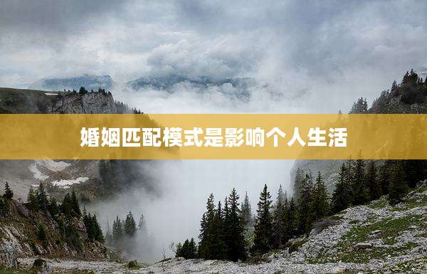 婚姻匹配模式是影响个人生活