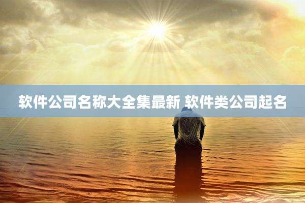 软件公司名称大全集最新 软件类公司起名