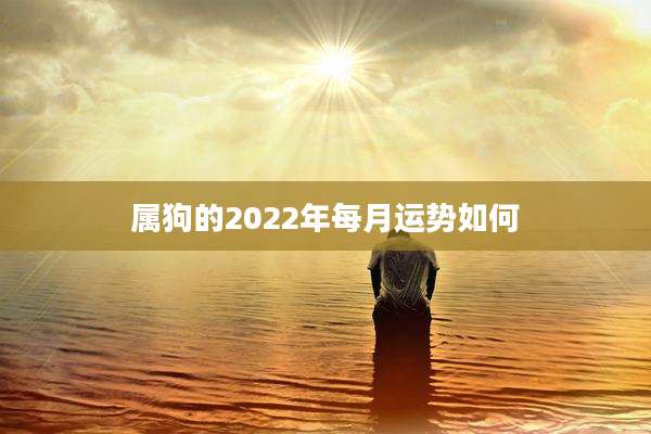 属狗的2022年每月运势如何
