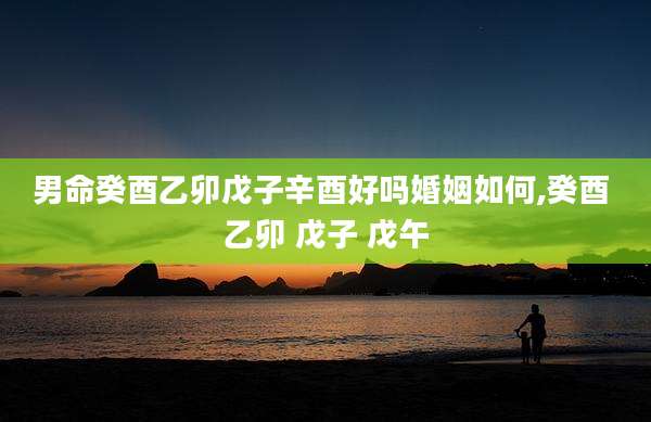 男命癸酉乙卯戊子辛酉好吗婚姻如何,癸酉 乙卯 戊子 戊午