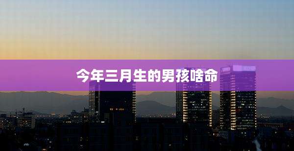 今年三月生的男孩啥命
