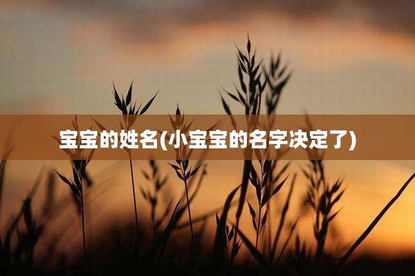 宝宝的姓名(小宝宝的名字决定了)