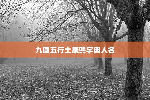 九画五行土康熙字典人名