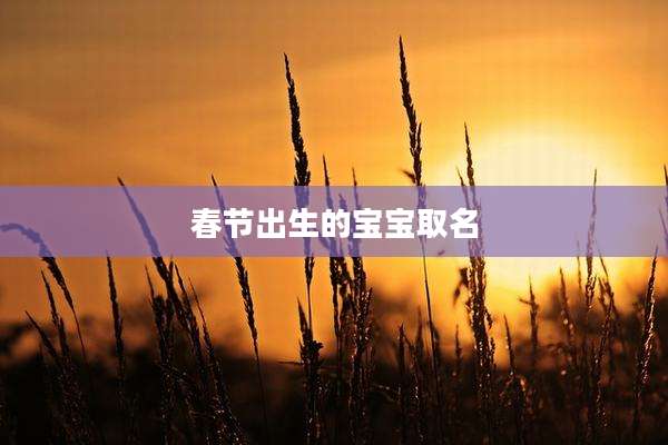 春节出生的宝宝取名