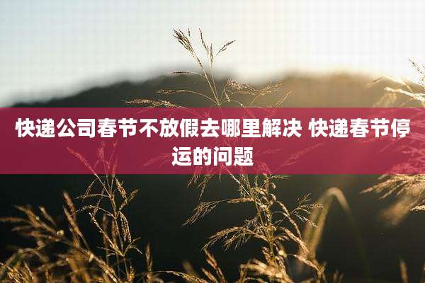 快递公司春节不放假去哪里解决 快递春节停运的问题