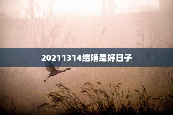20211314结婚是好日子