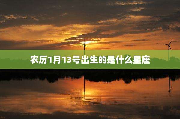 农历1月13号出生的是什么星座