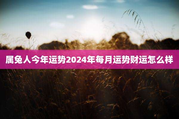 属兔人今年运势2024年每月运势财运怎么样
