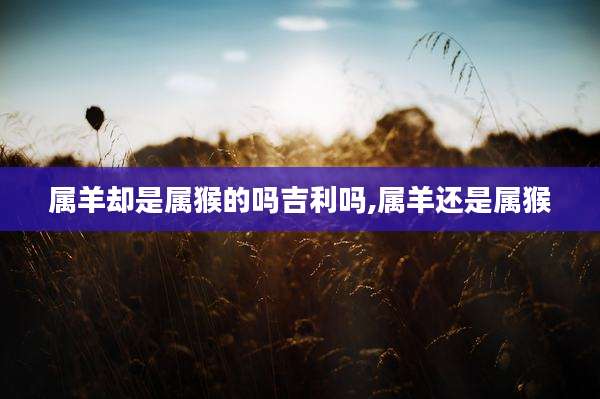 属羊却是属猴的吗吉利吗,属羊还是属猴