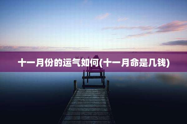 十一月份的运气如何(十一月命是几钱)