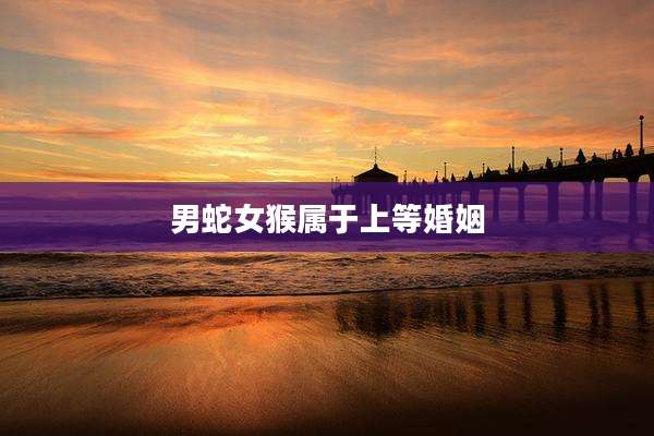 男蛇女猴属于上等婚姻