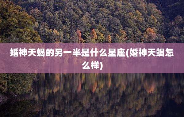 婚神天蝎的另一半是什么星座(婚神天蝎怎么样)