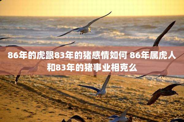86年的虎跟83年的猪感情如何 86年属虎人和83年的猪事业相克么