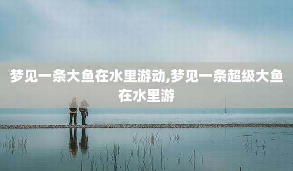 梦见一条大鱼在水里游动,梦见一条超级大鱼在水里游