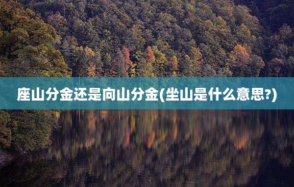 座山分金还是向山分金(坐山是什么意思?)