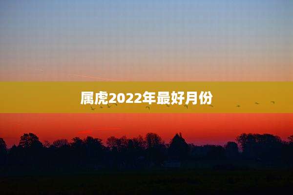 属虎2022年最好月份