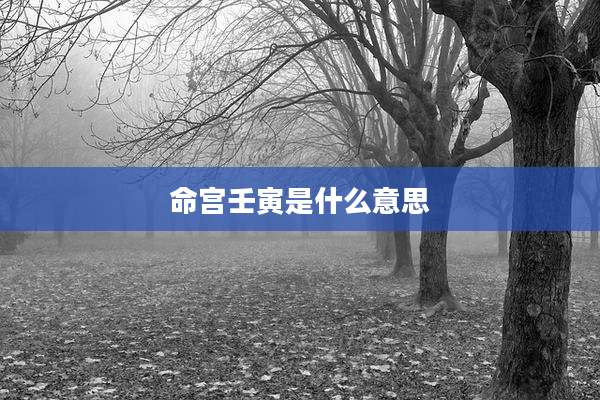命宫壬寅是什么意思