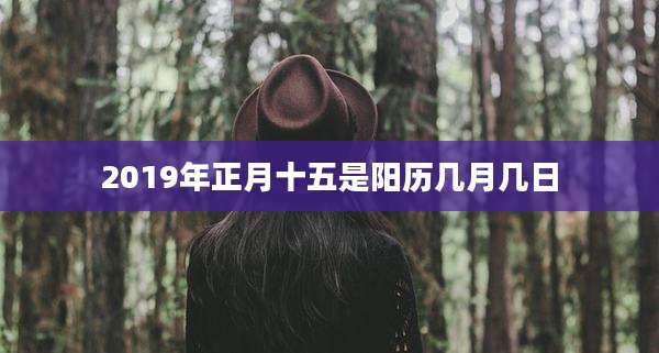 2019年正月十五是阳历几月几日
