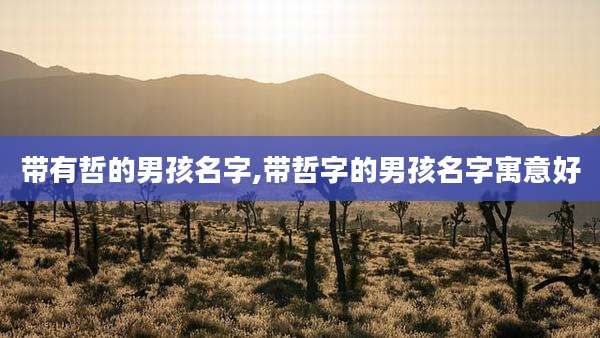 带有哲的男孩名字,带哲字的男孩名字寓意好