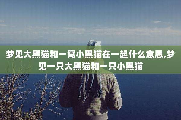 梦见大黑猫和一窝小黑猫在一起什么意思,梦见一只大黑猫和一只小黑猫