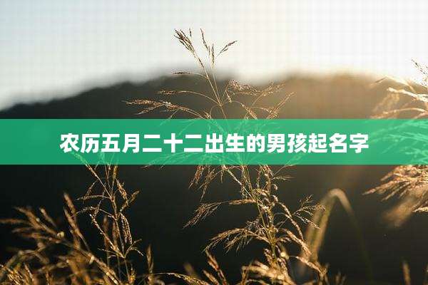 农历五月二十二出生的男孩起名字