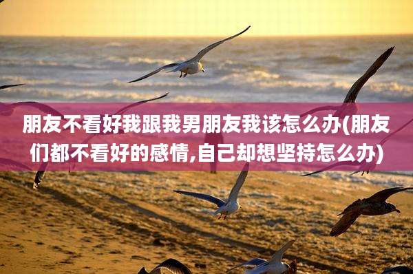朋友不看好我跟我男朋友我该怎么办(朋友们都不看好的感情,自己却想坚持怎么办)