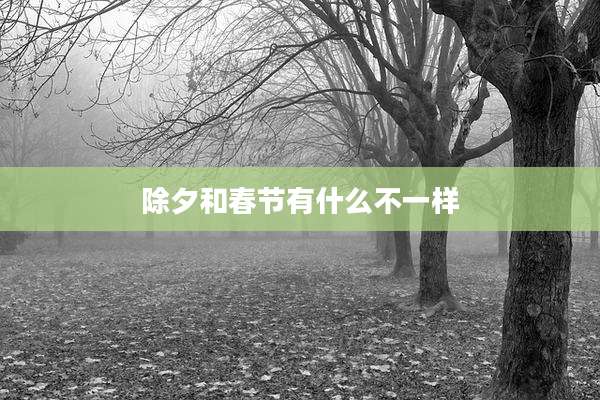 除夕和春节有什么不一样