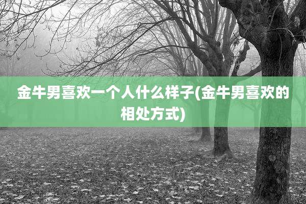 金牛男喜欢一个人什么样子(金牛男喜欢的相处方式)