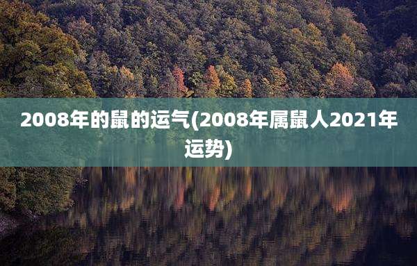 2008年的鼠的运气(2008年属鼠人2021年运势)