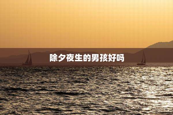 除夕夜生的男孩好吗