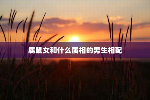 属鼠女和什么属相的男生相配
