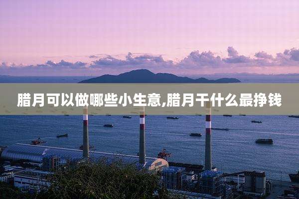 腊月可以做哪些小生意,腊月干什么最挣钱