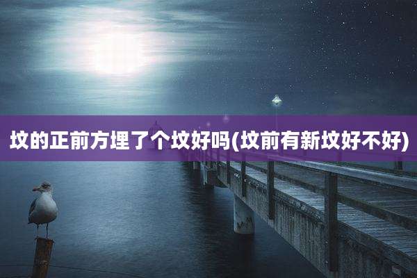 坟的正前方埋了个坟好吗(坟前有新坟好不好)