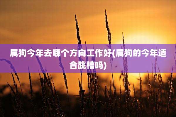 属狗今年去哪个方向工作好(属狗的今年适合跳槽吗)