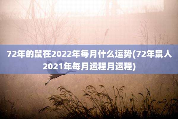 72年的鼠在2022年每月什么运势(72年鼠人2021年每月运程月运程)