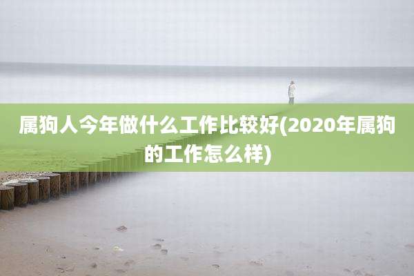 属狗人今年做什么工作比较好(2020年属狗的工作怎么样)