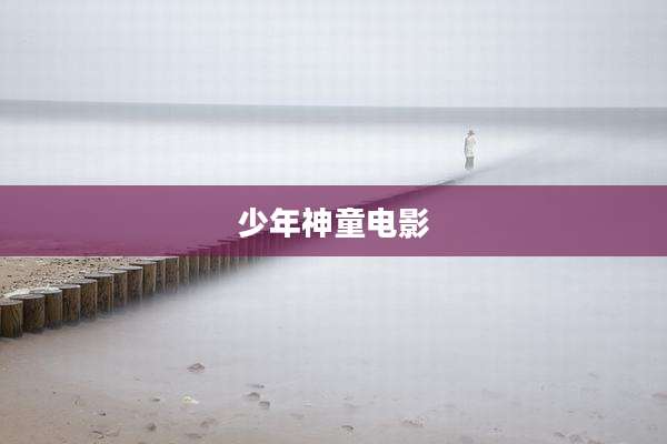 少年神童电影