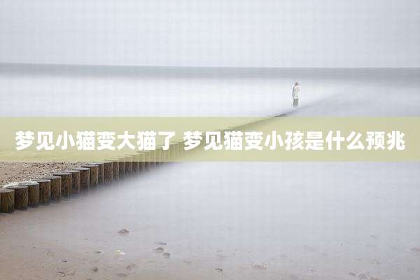梦见小猫变大猫了 梦见猫变小孩是什么预兆