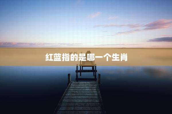 红蓝指的是哪一个生肖