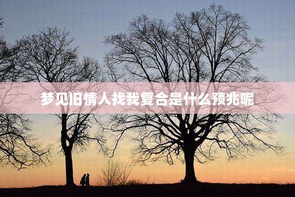 梦见旧情人找我复合是什么预兆呢