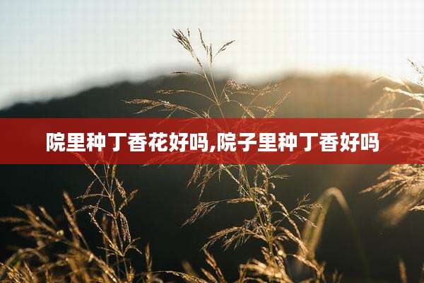 院里种丁香花好吗,院子里种丁香好吗