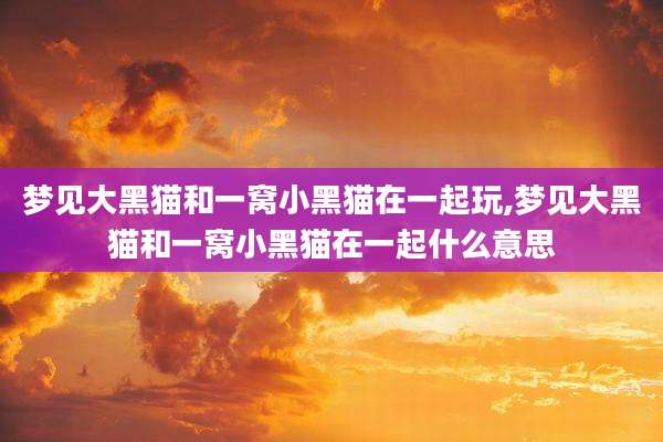 梦见大黑猫和一窝小黑猫在一起玩,梦见大黑猫和一窝小黑猫在一起什么意思